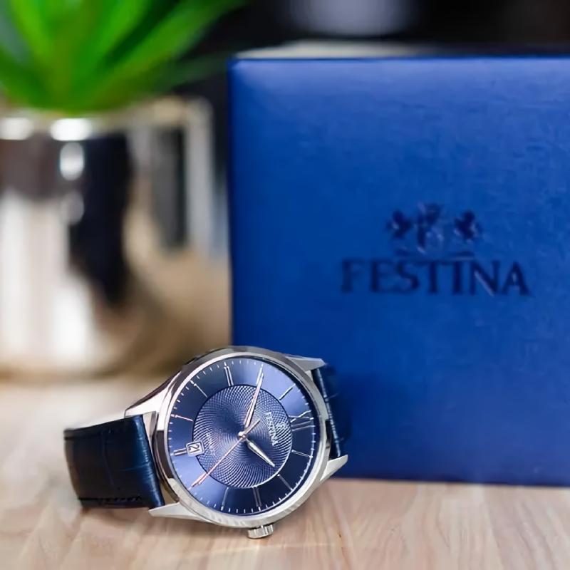 Festina F20426/2