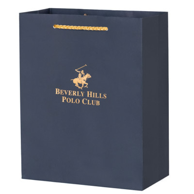 Часы Beverly Hills Polo Club BP3249X.530