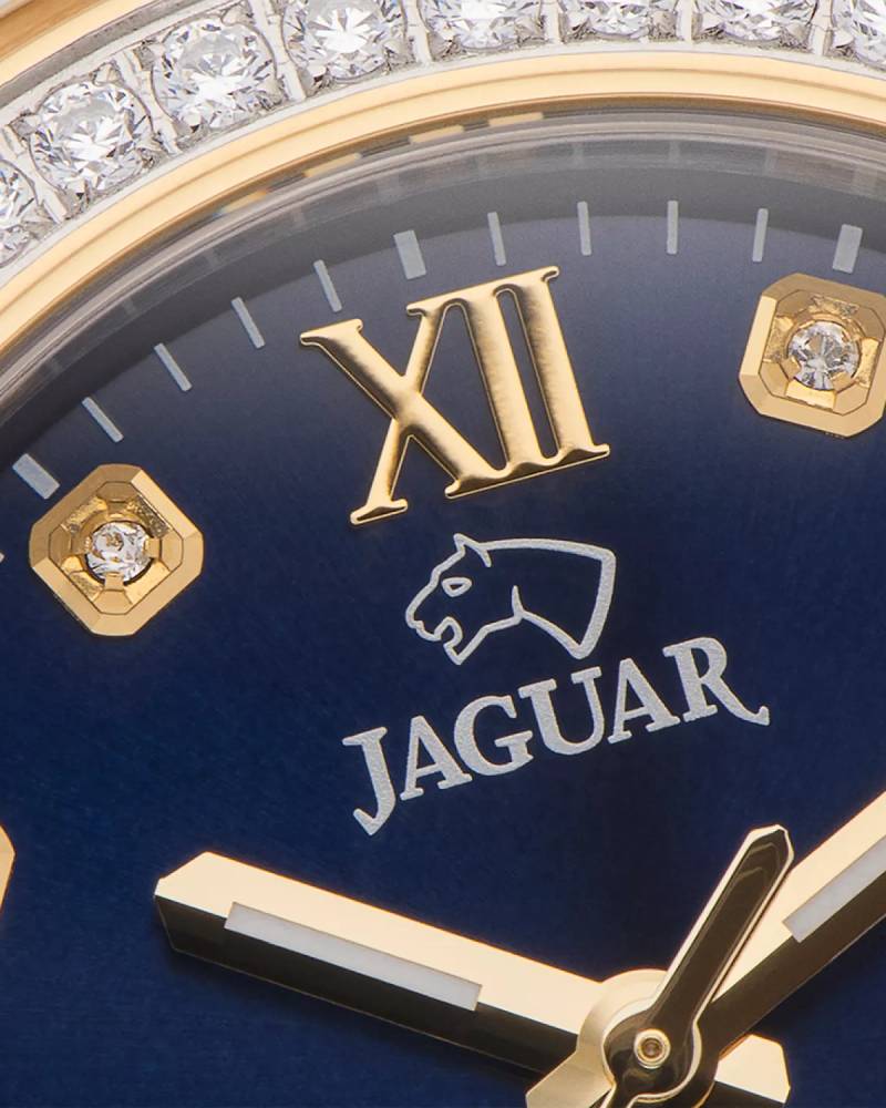 Jaguar J893/2