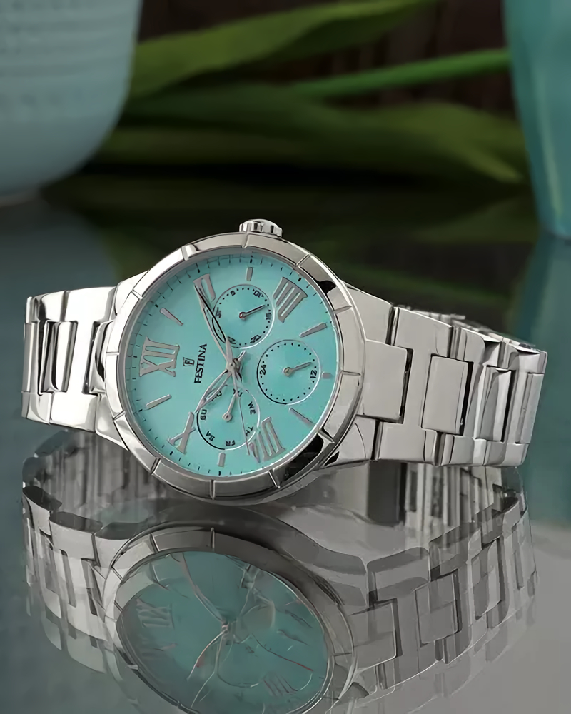 Festina F16716/4