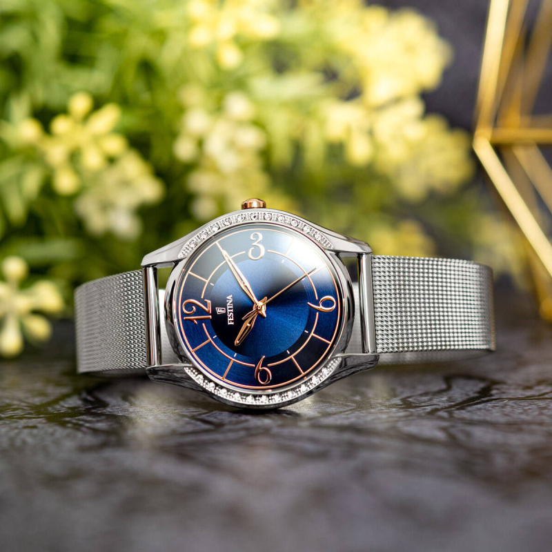 Festina F20420/4