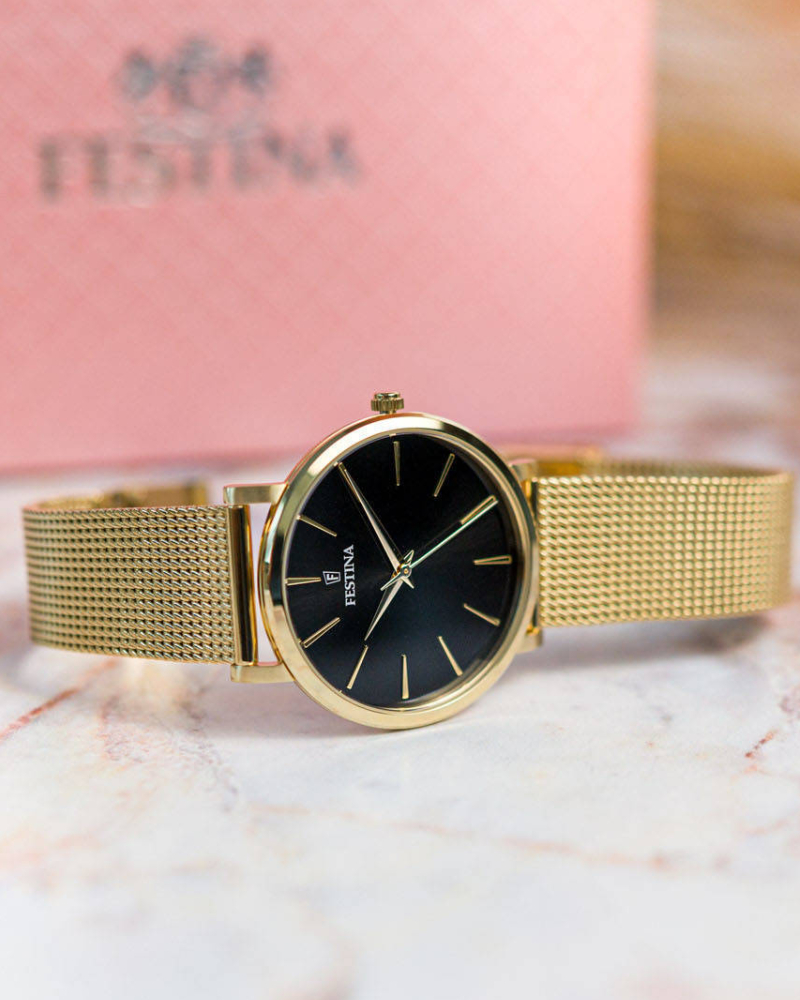 Festina F20476/2