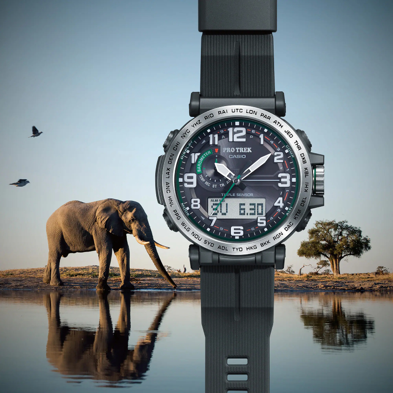 Casio PRG-601-1