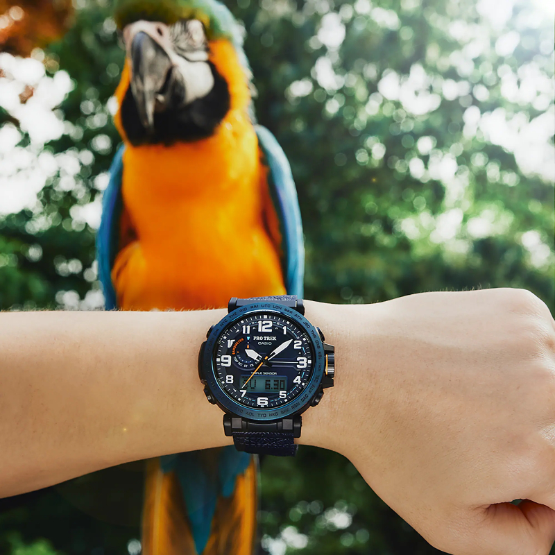Casio PRG-601YB-2