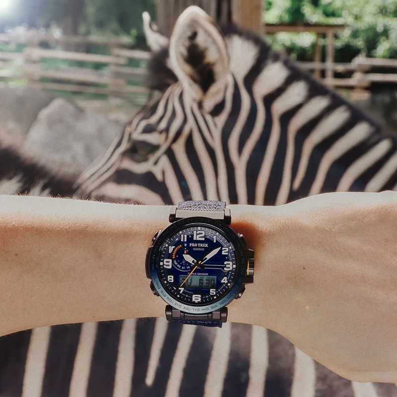 Casio PRG-601YB-2
