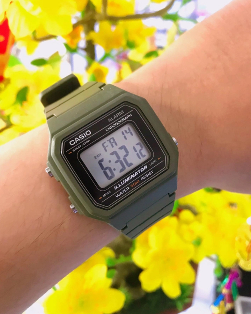 Casio W-217H-3A