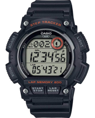 Наручные часы Casio Collection Men WS-2100H-1A