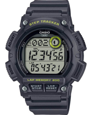 Наручные часы Casio Collection Men WS-2100H-8A